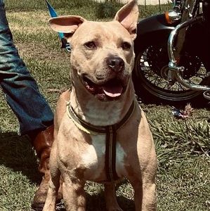 Meet your Posher, Jeremiah